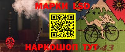 молекула духа Кулебаки