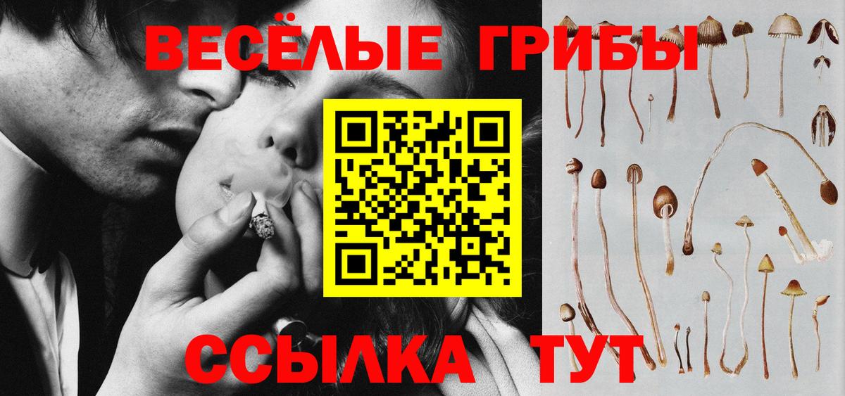 Псилоцибиновые грибы прущие грибы Заводоуковск