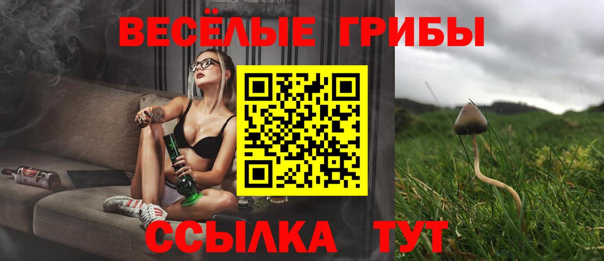 где можно купить   Псилоцибиновые грибы ЛСД  Вход с VPN  Заводоуковск 